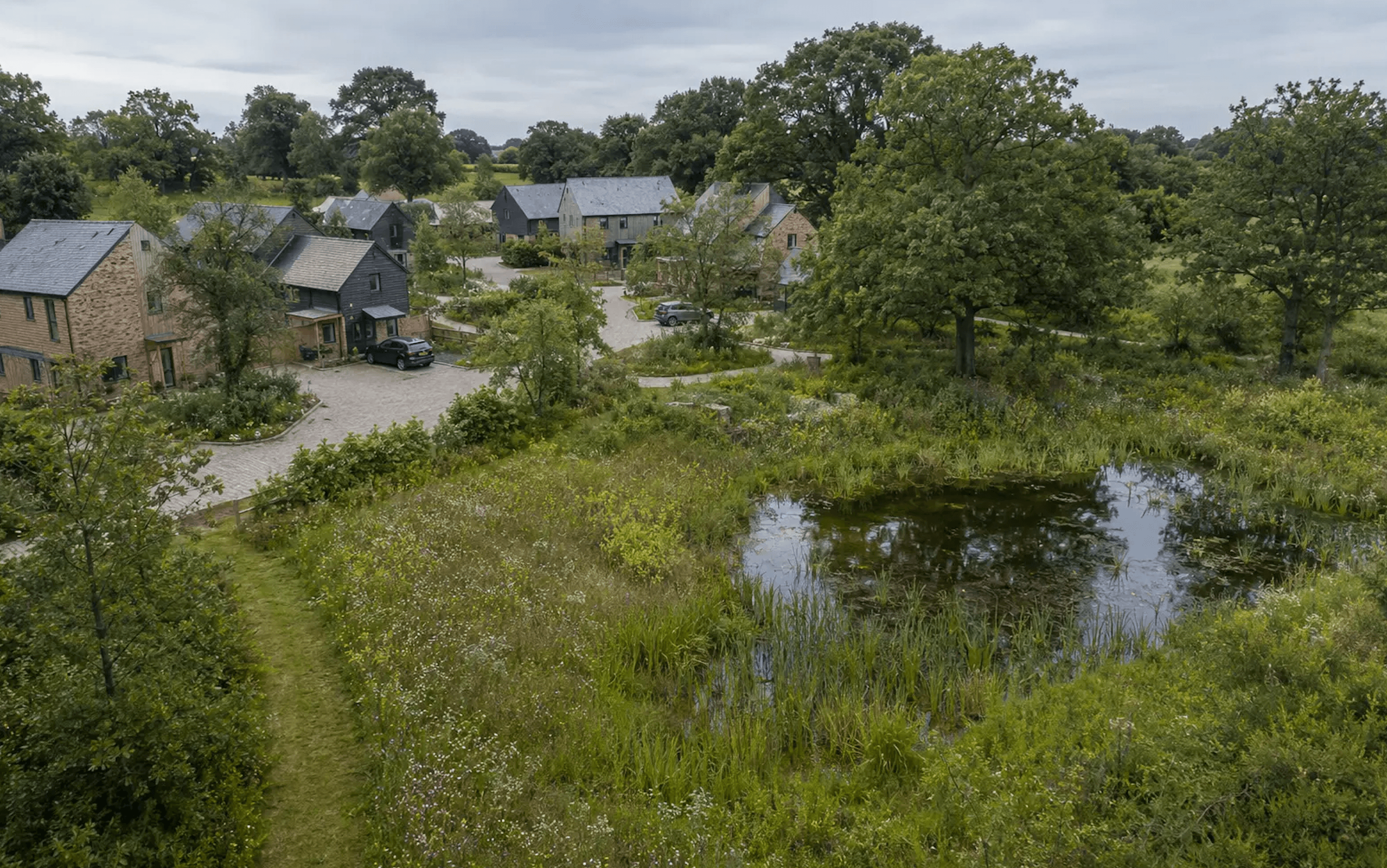 Nature-rich residential development with established trees, meadow planting and a pond